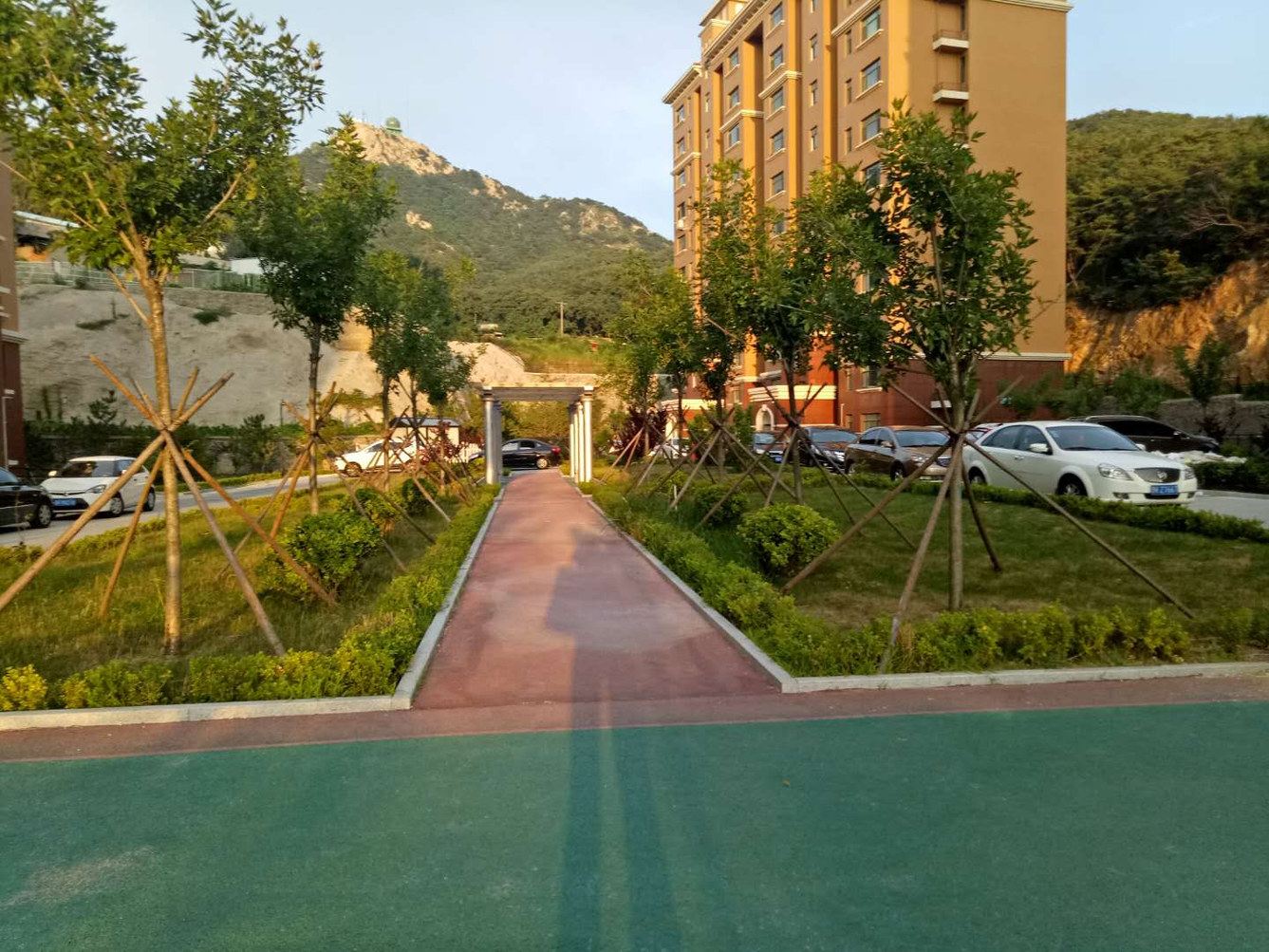 其他