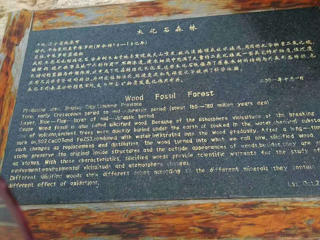 其他