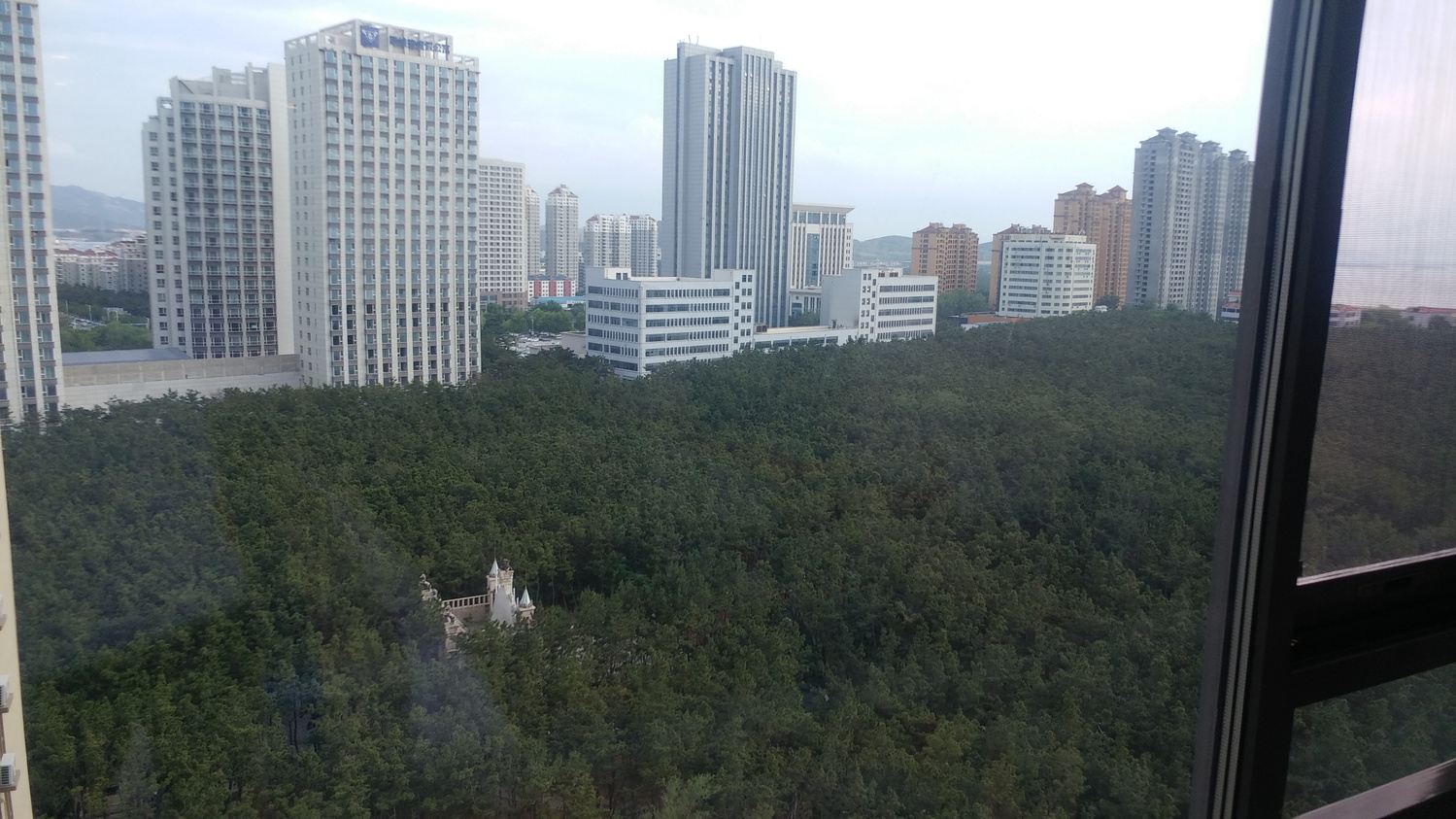 其他