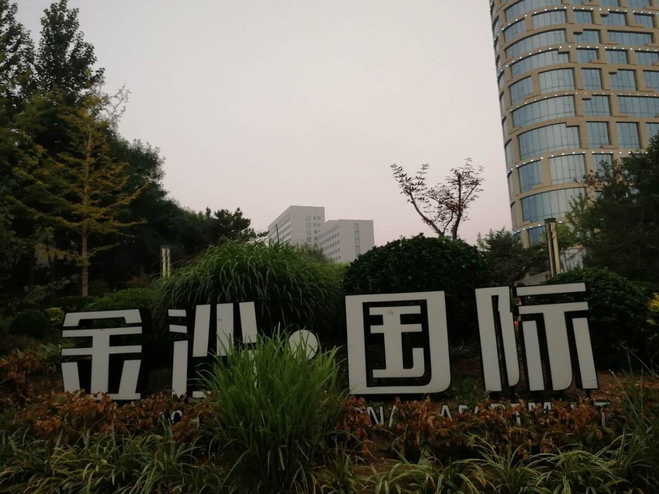 其他