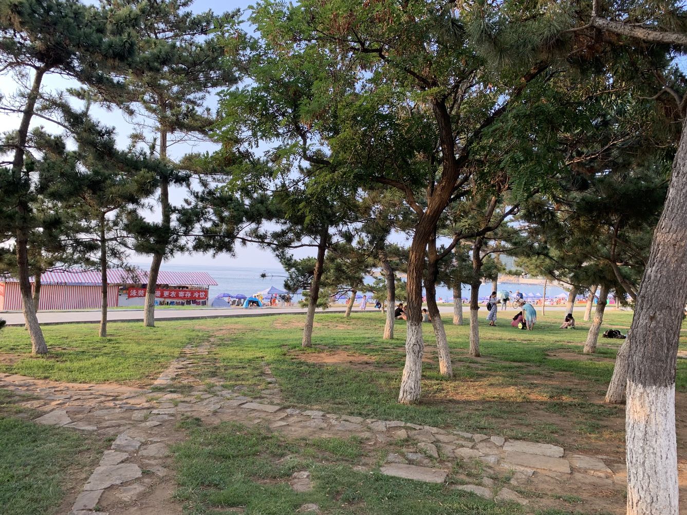 其他