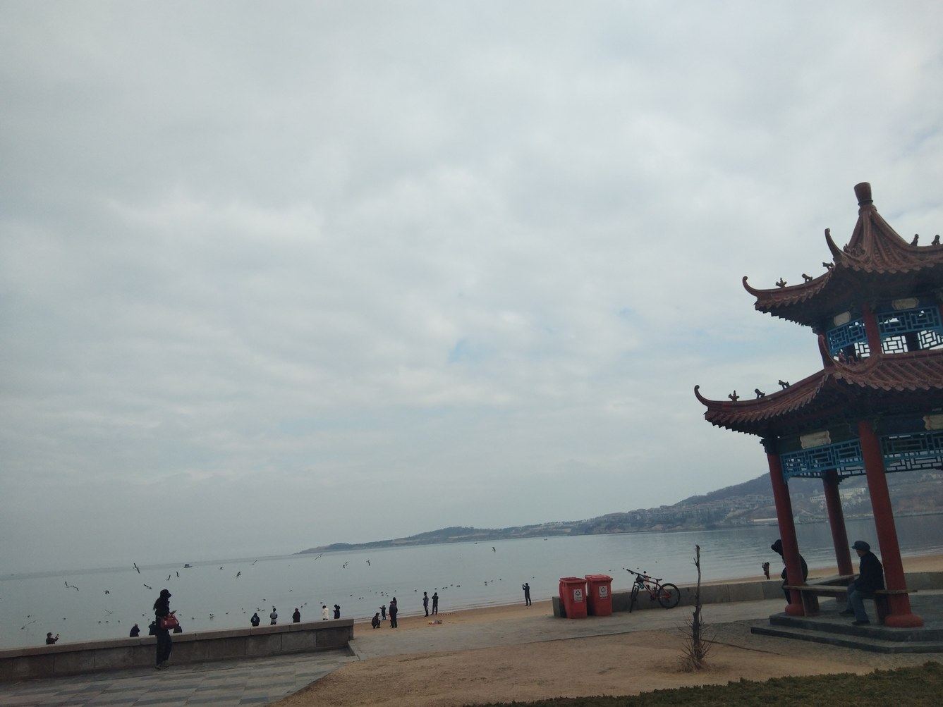 其他