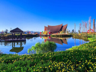 西双版纳跟团旅游行程_西双版纳旅游五日_西双版纳报团游