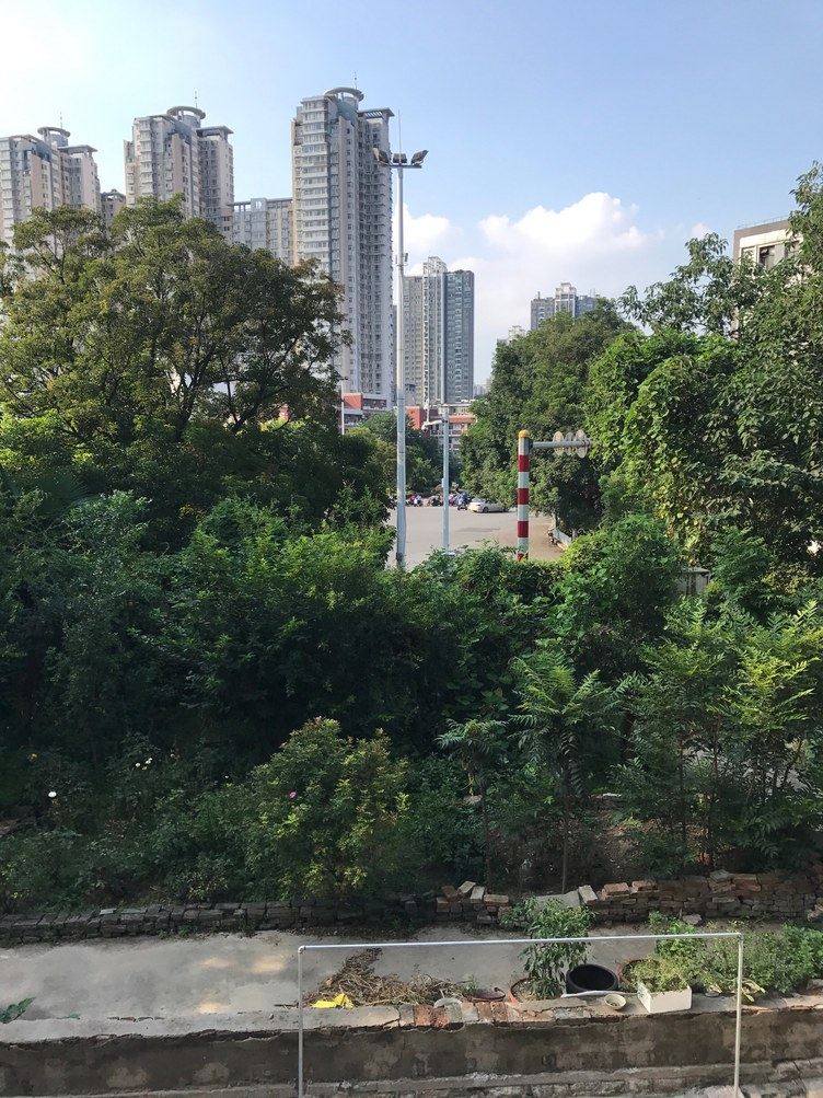 小溪溪公寓