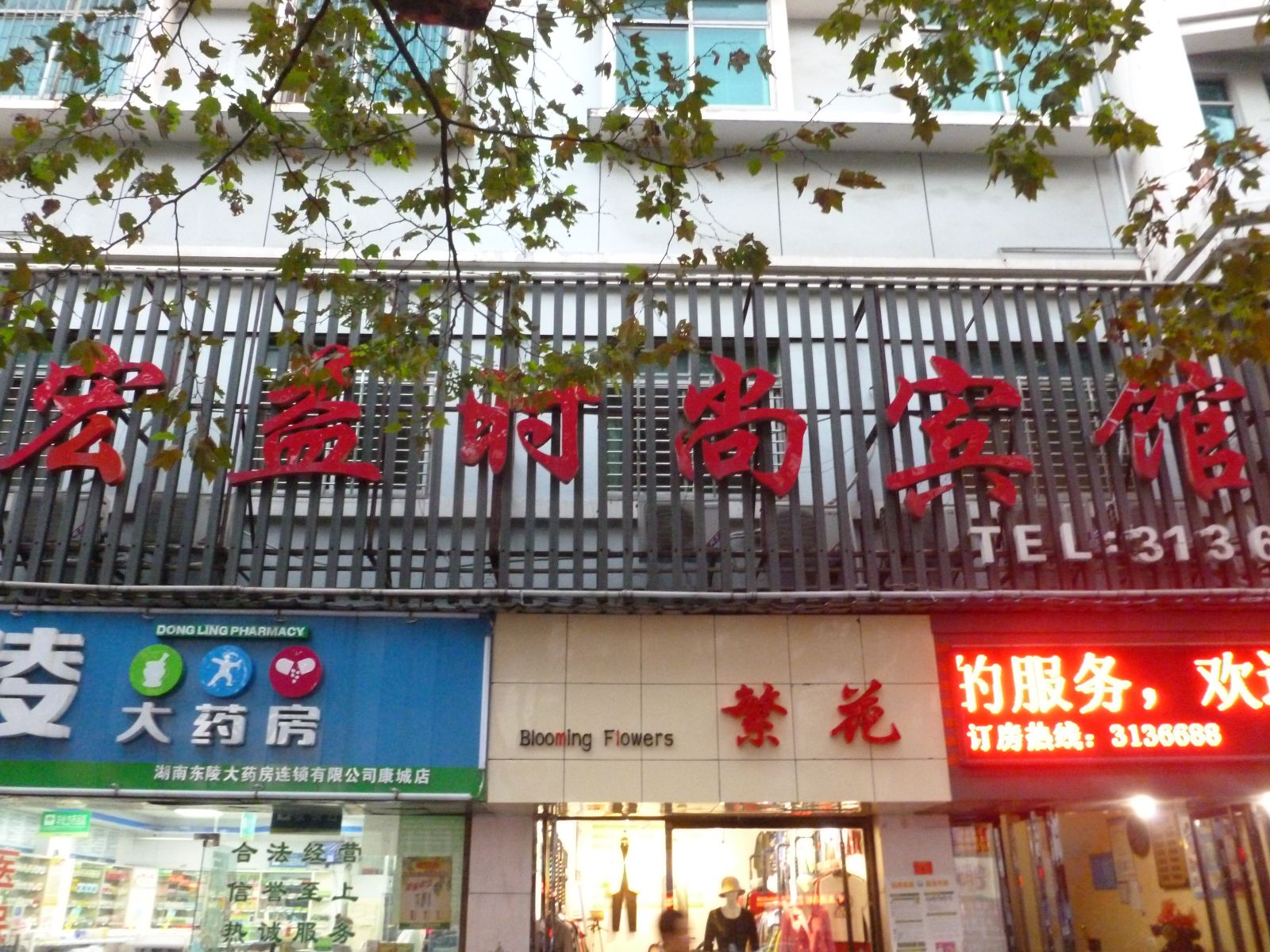 外观