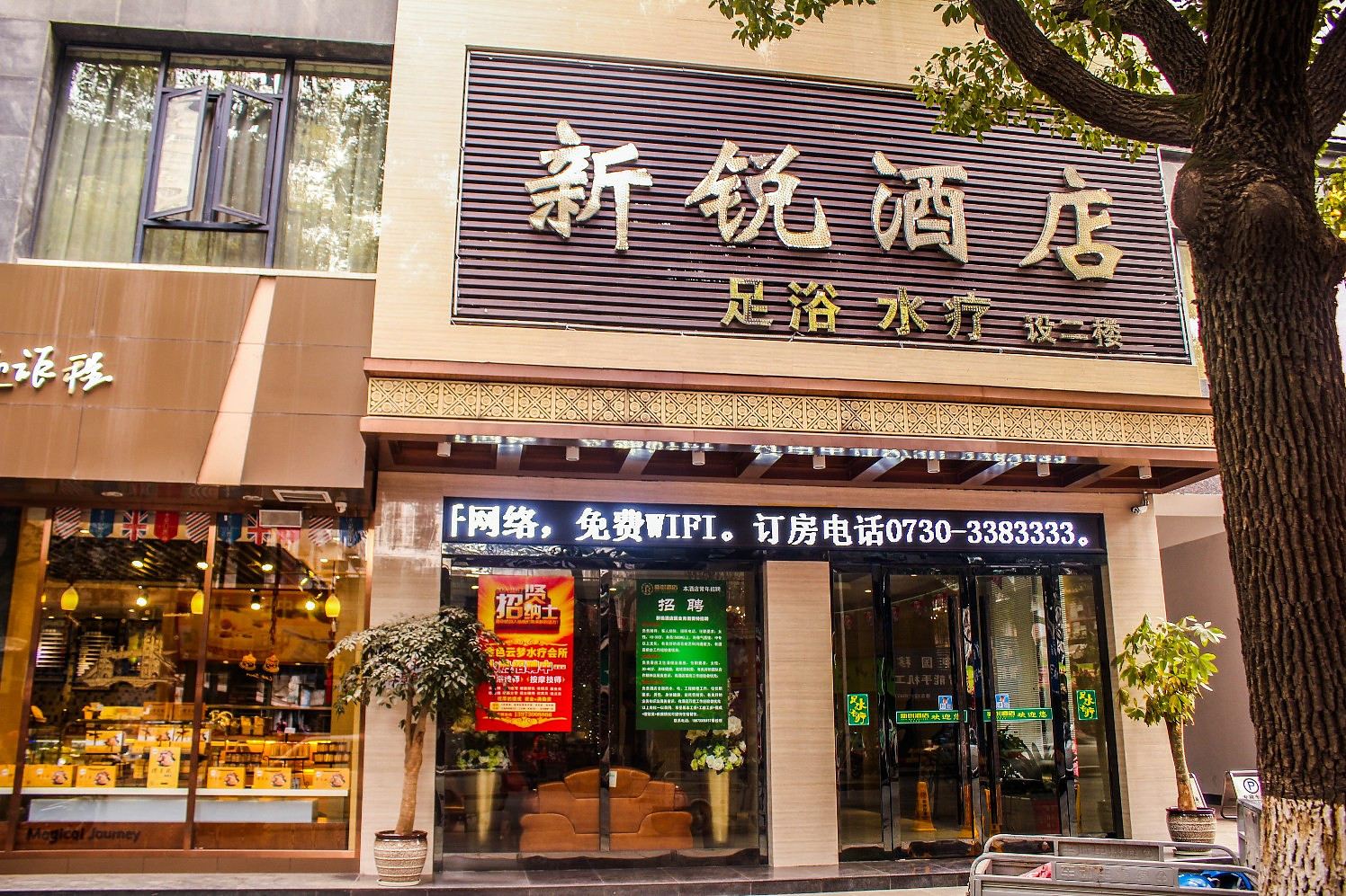 外观