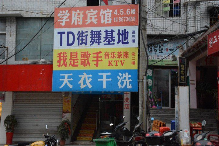 外观