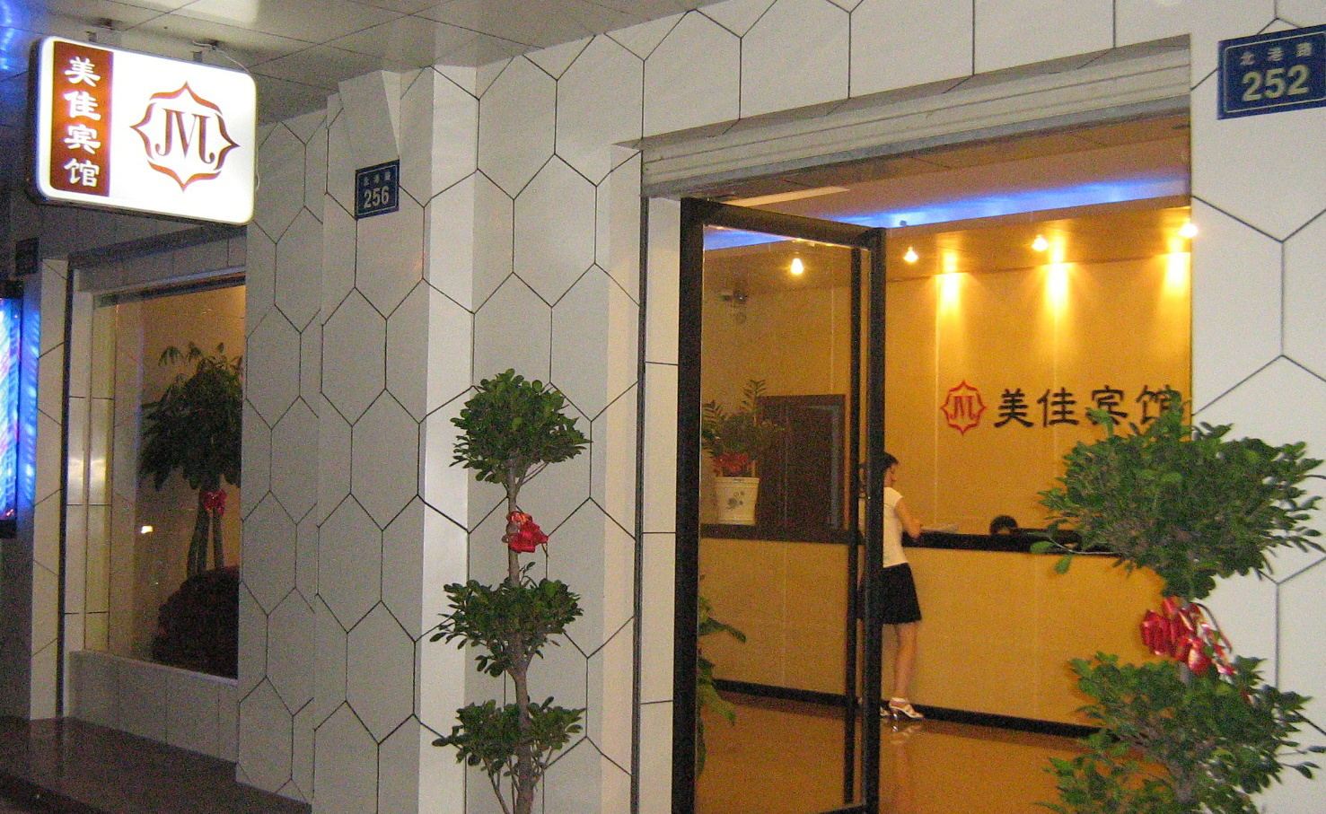 外观