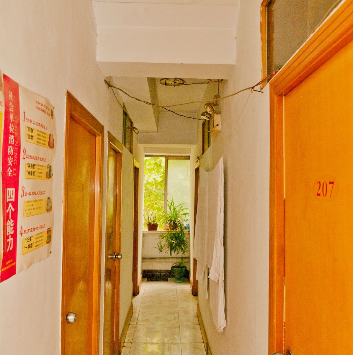 公共区域