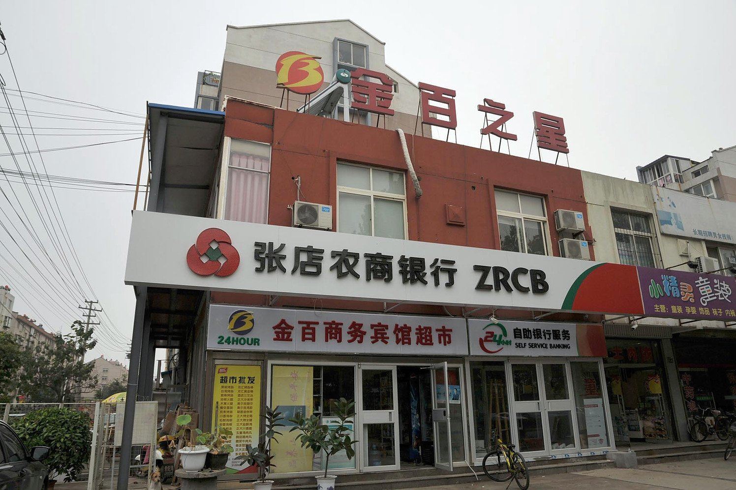 外观