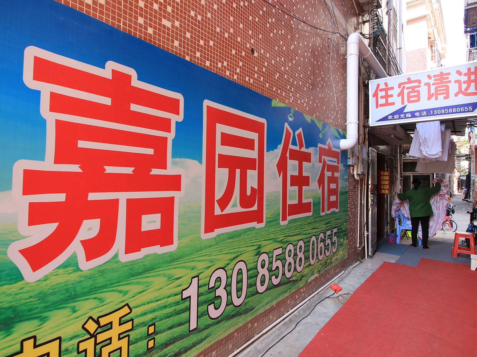 外观