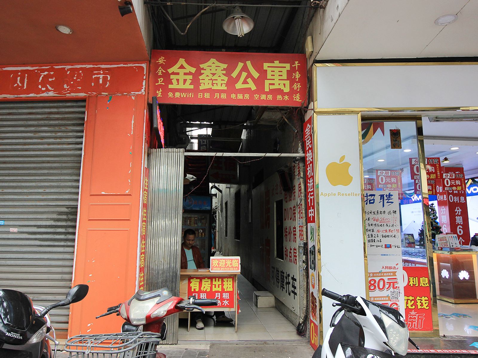 外观