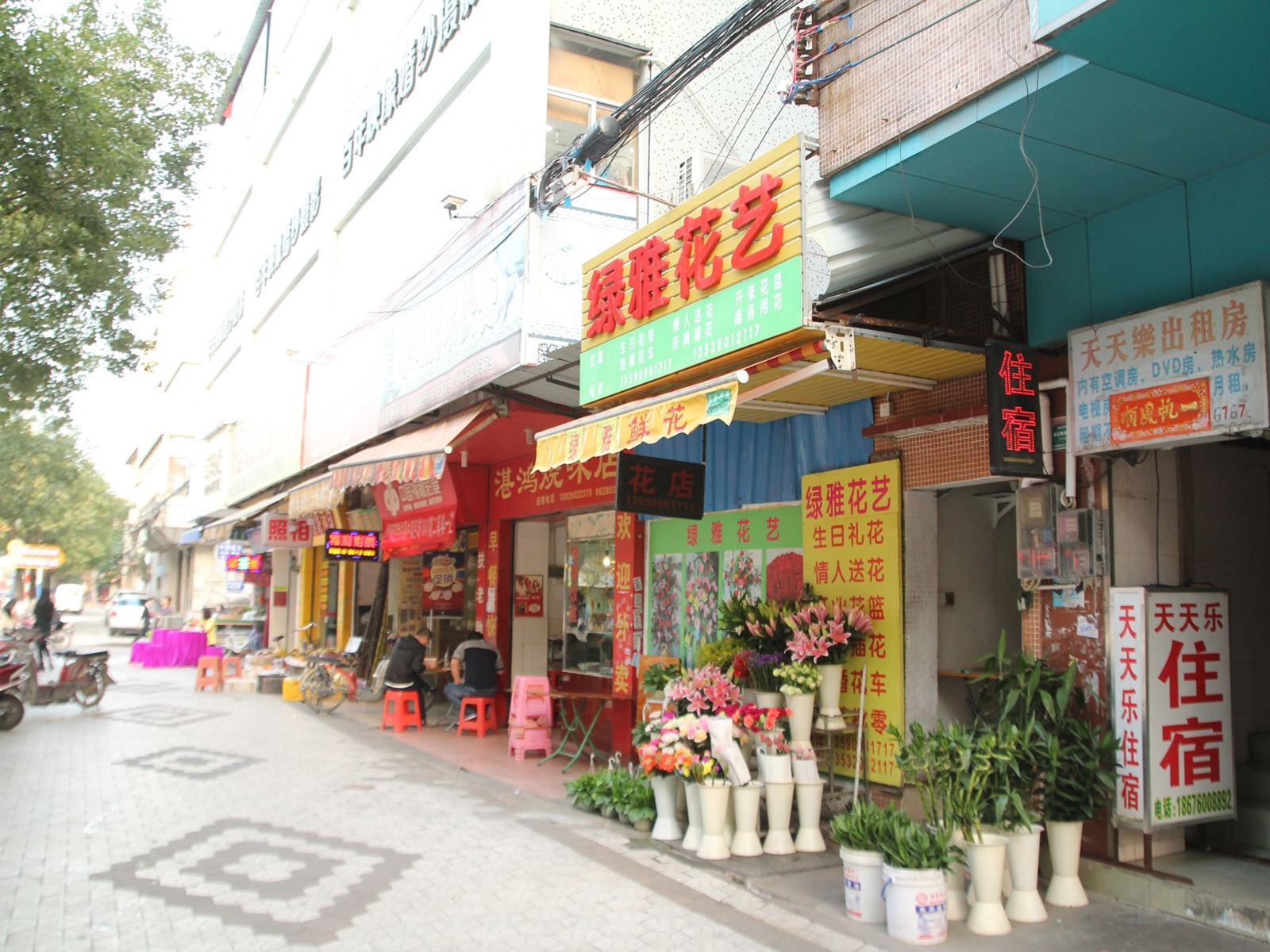 外观