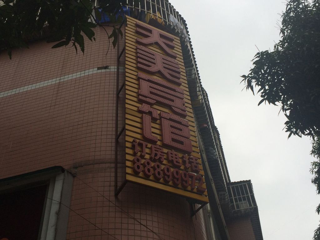 外观