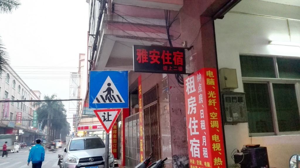 外观