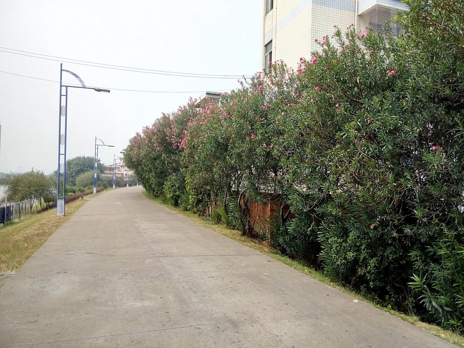 中山东凤顺意旅店