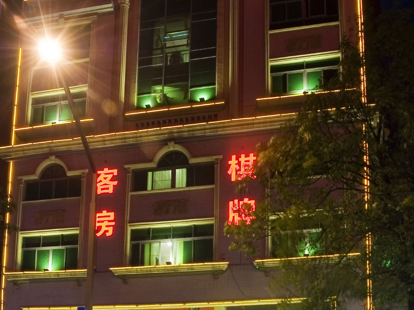 外观