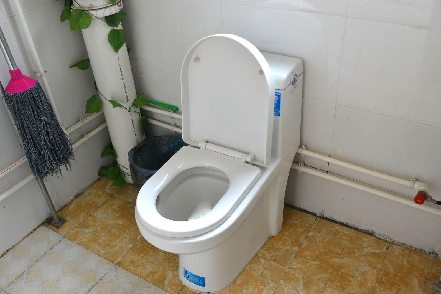 其他