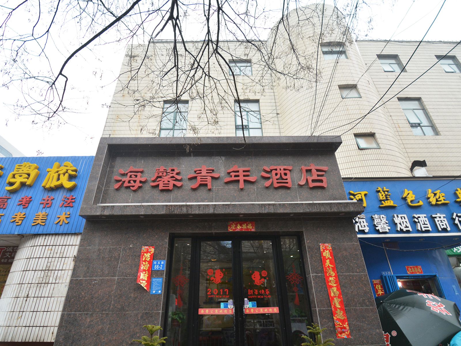 外观