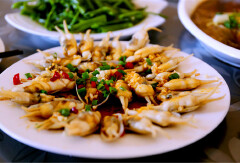 餐饮模块 