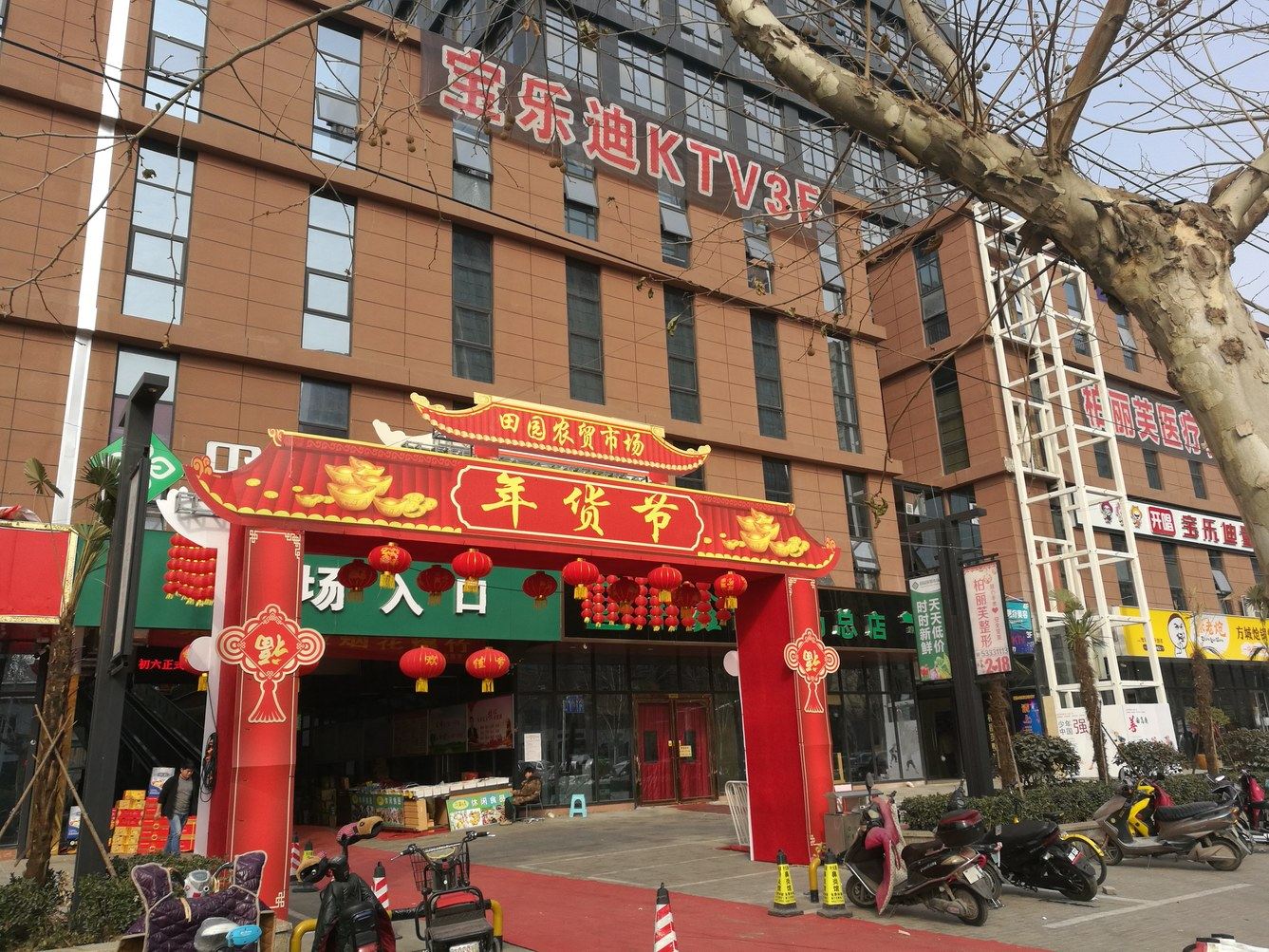 外观