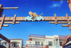 活动模块 