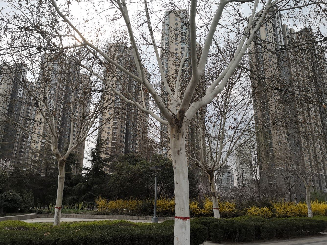 郑州唯美夜景房之魔法师公寓