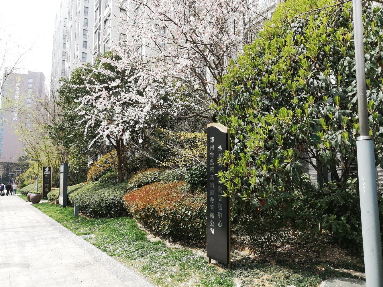郑州别枝鹊民宿