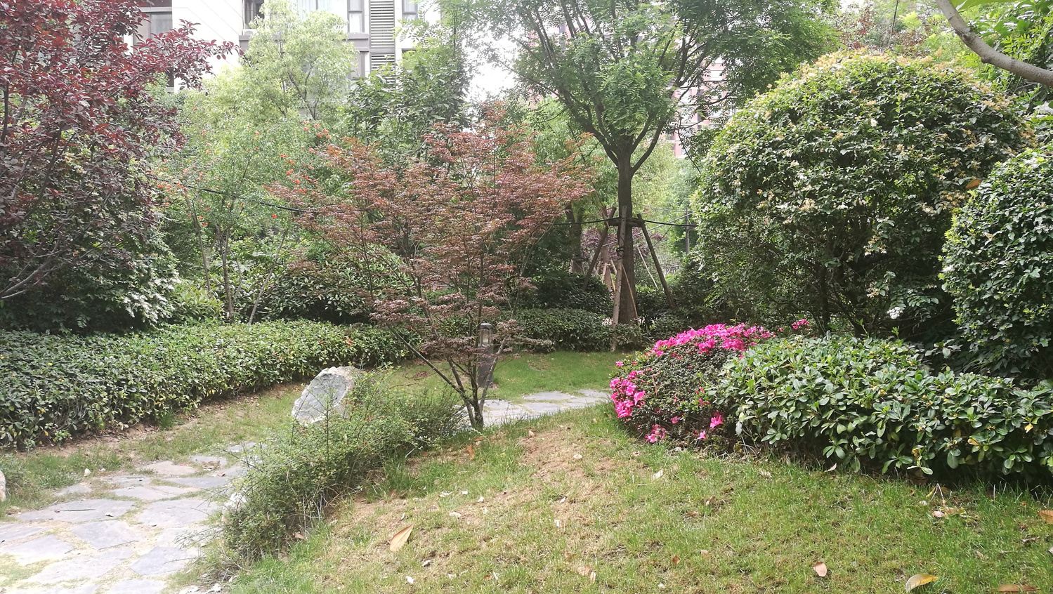 郑州晓蕾公寓