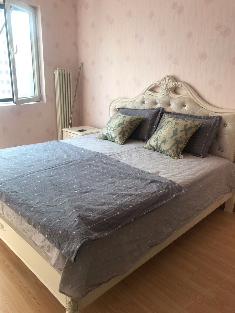舒适欢乐一室一厅套房