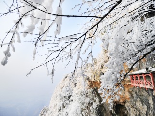 张家界十一日游跟团多少钱_深圳去张家界旅游团_张家界旅游高端团