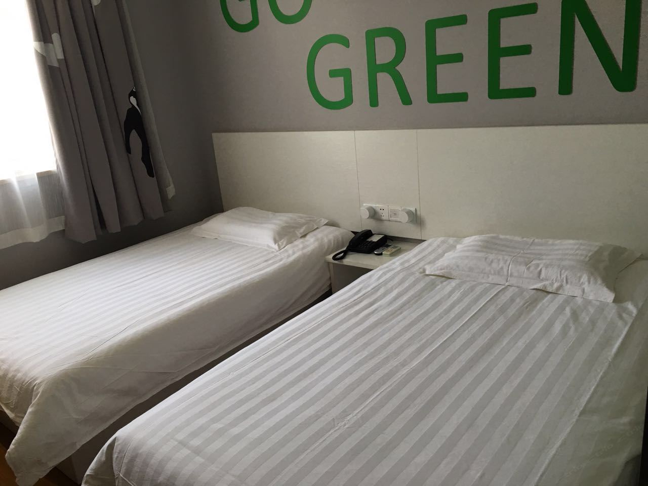 标准双床房