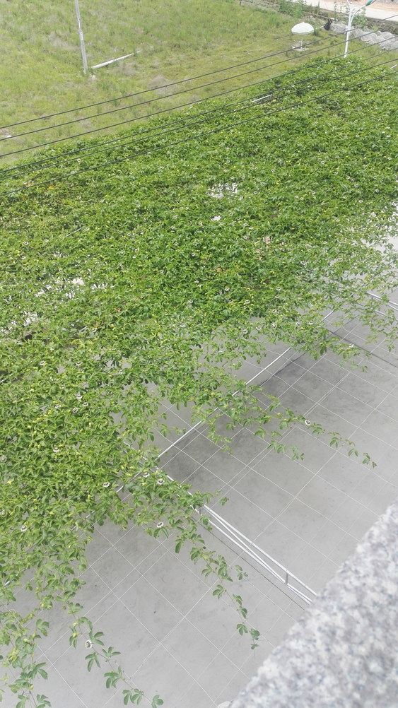 龙岩北寮假日农舍度假别墅(白石村分店)