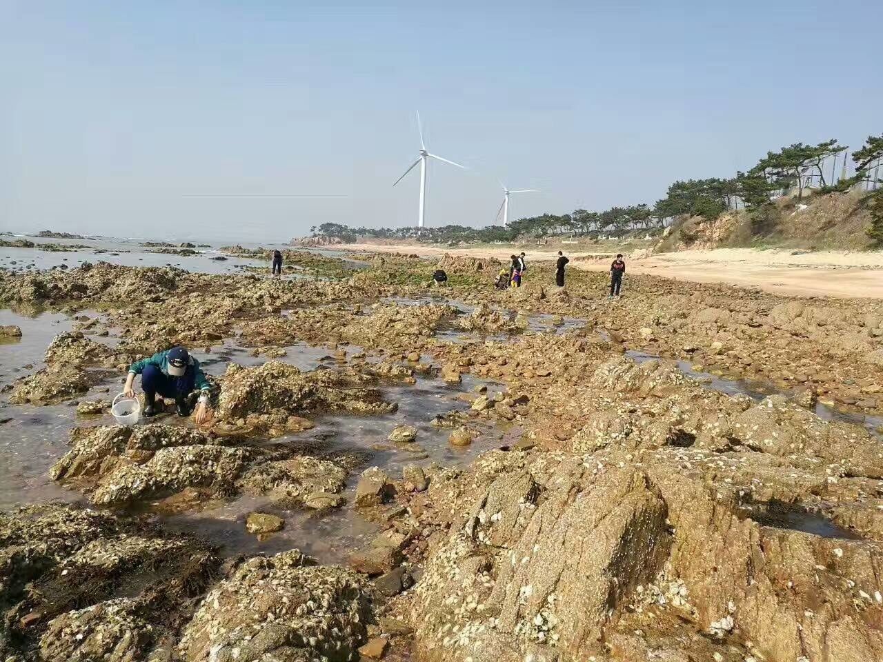 威海海草渔家渔家乐