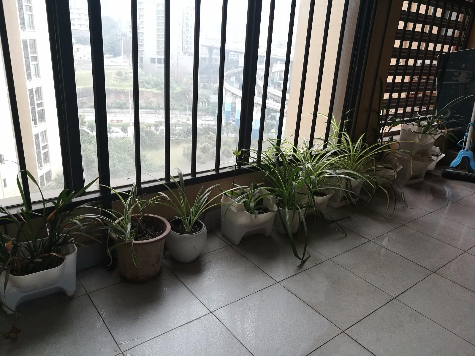 院馆大床房