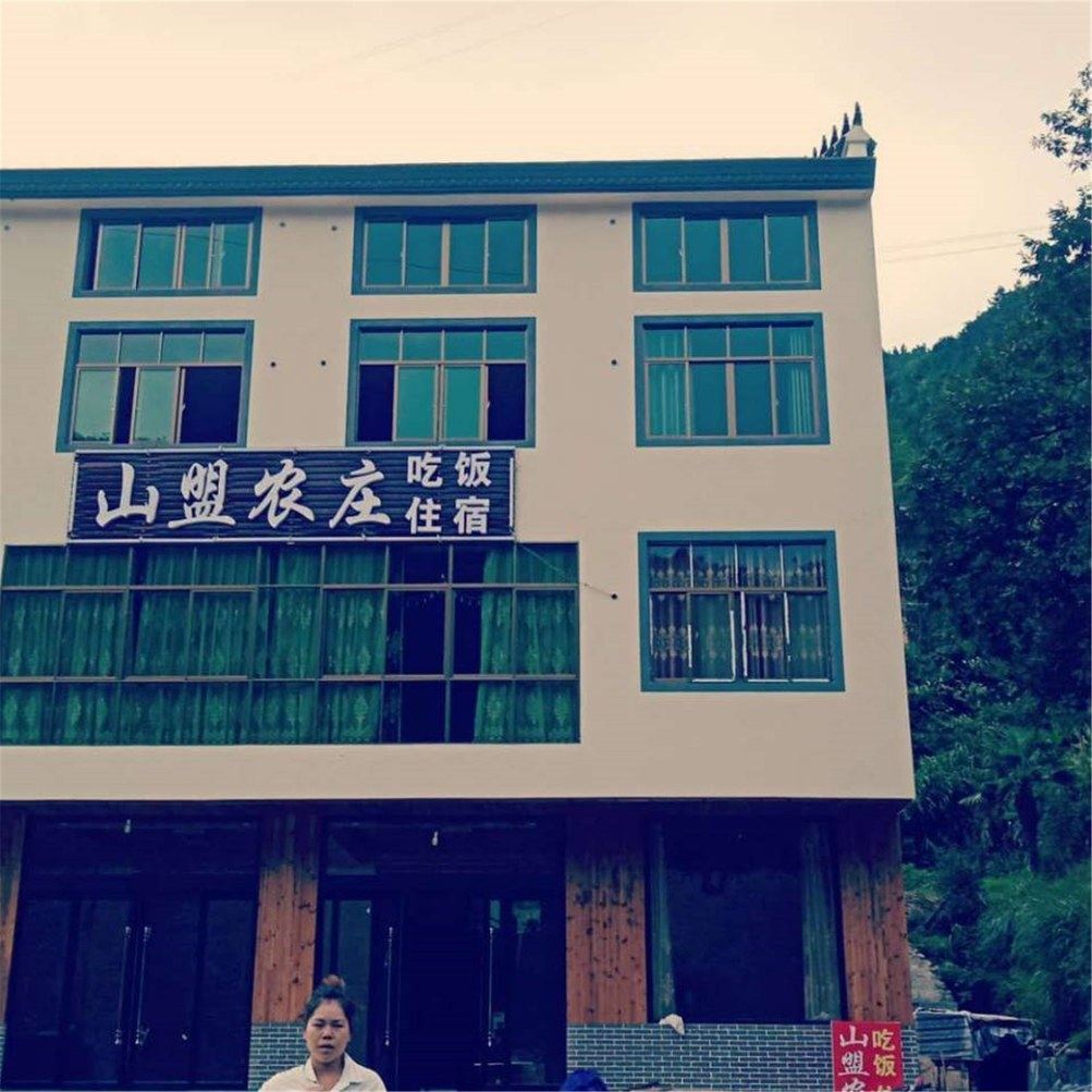 其他