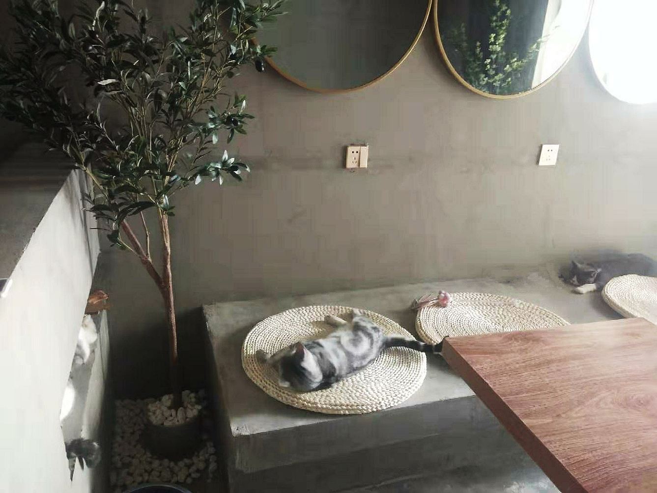 一室一厅套房