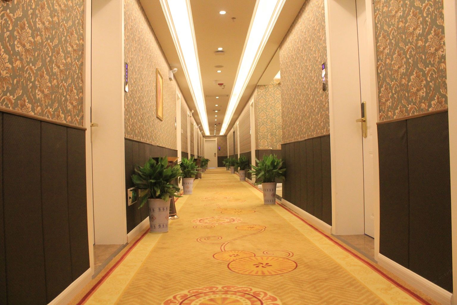 公共区域