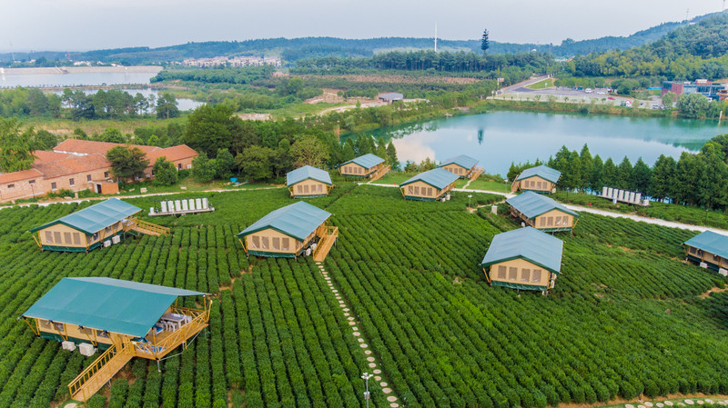 茶园,竹林,星空房,让我来告诉你金坛茅山有多美