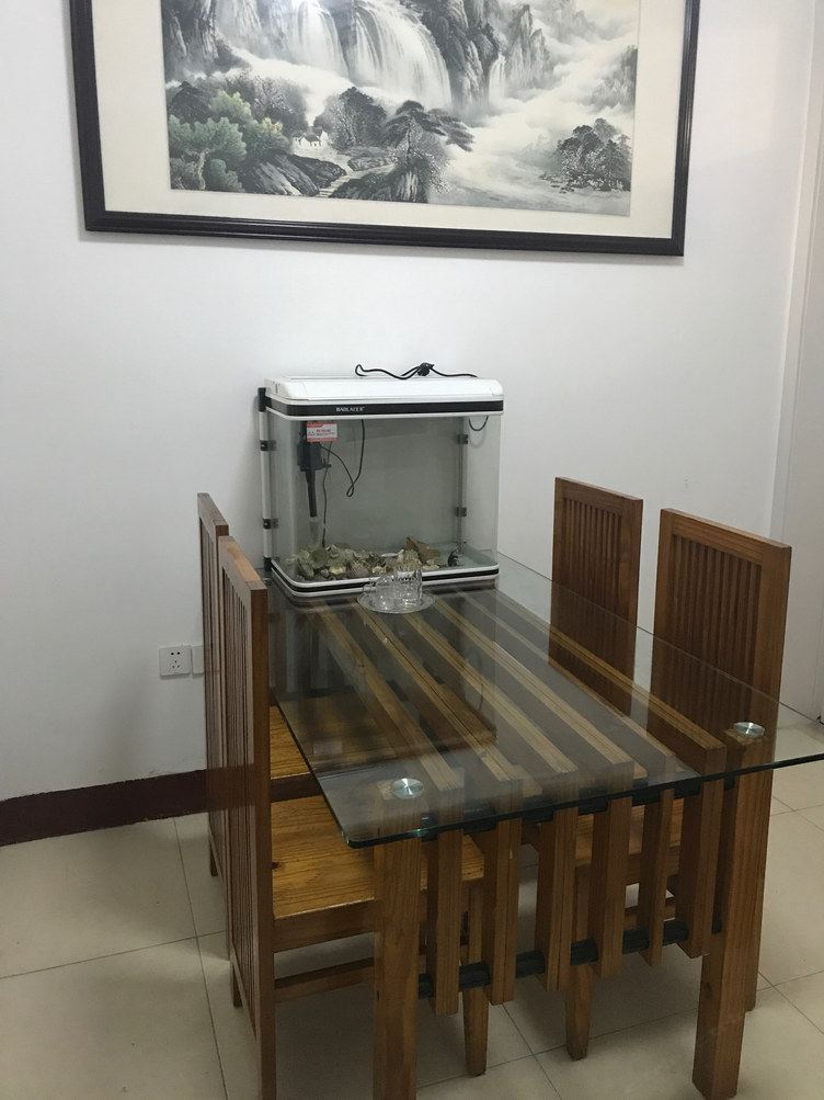 温馨一室二床房