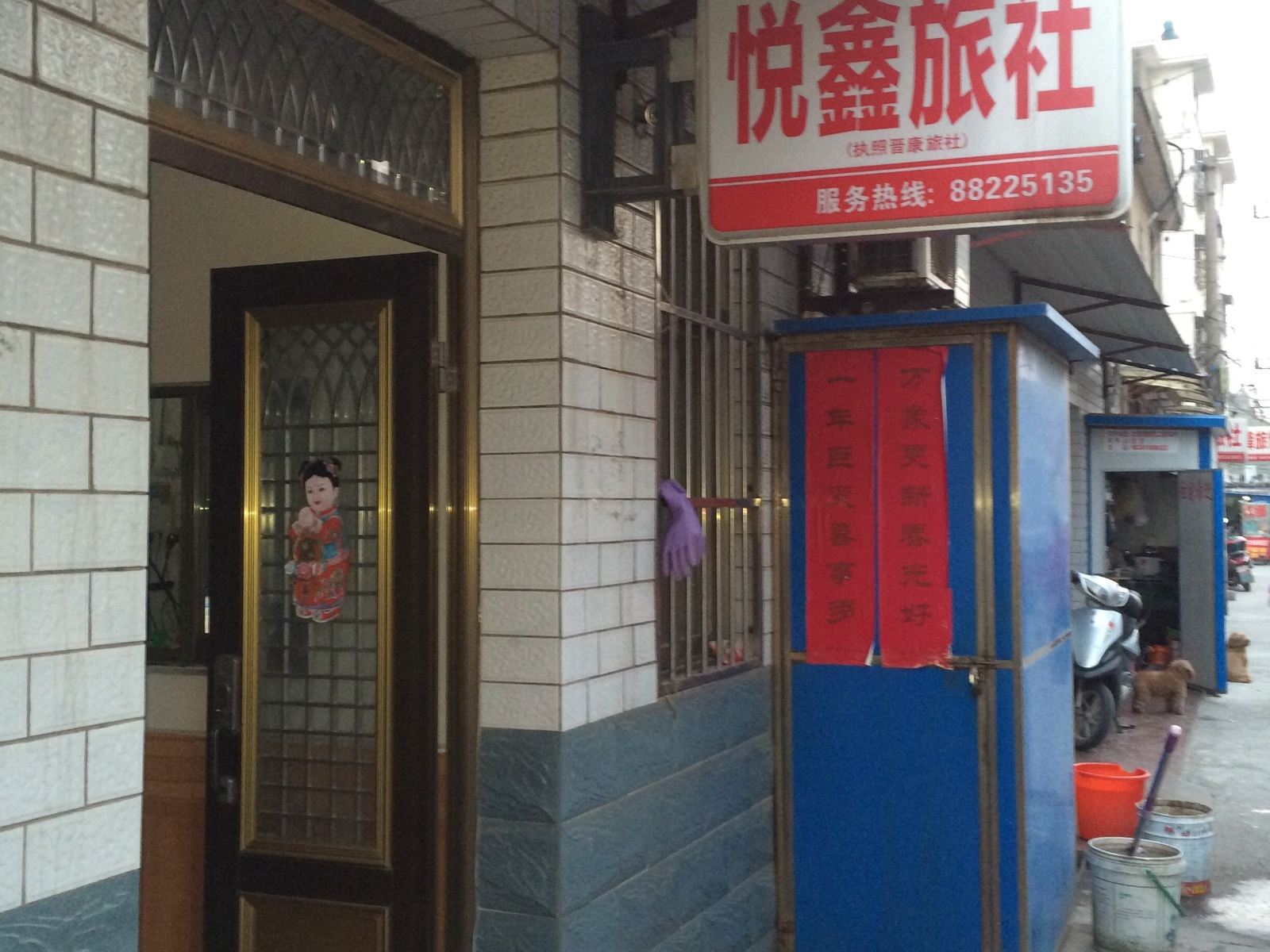 外观