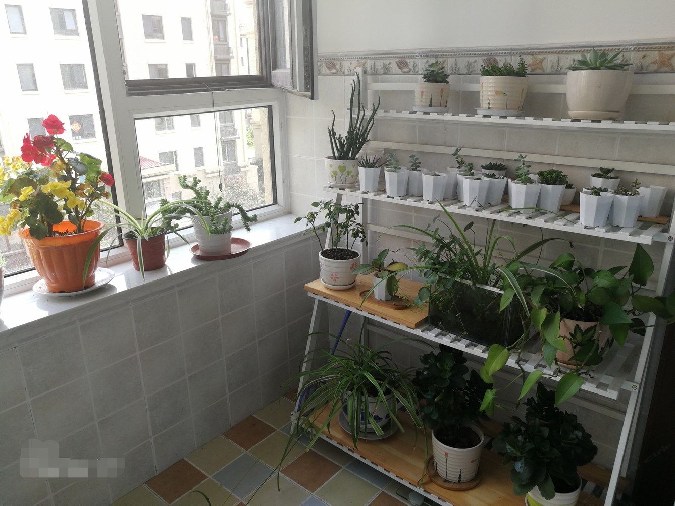 精品二室一厅套房