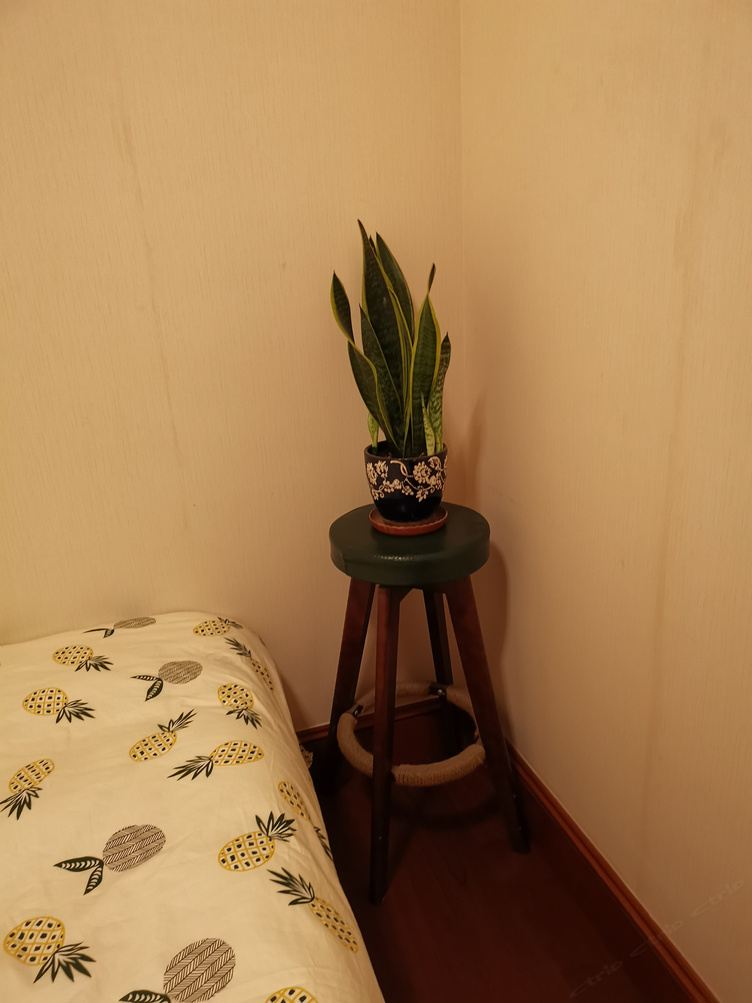 精致三室二厅套房