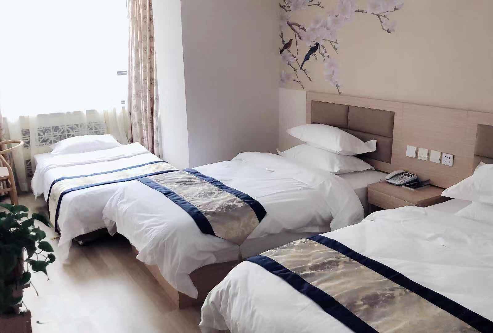 经济三人间