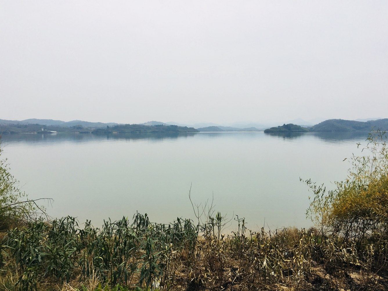 常州氧气柠檬茶特色民宿(3号店)