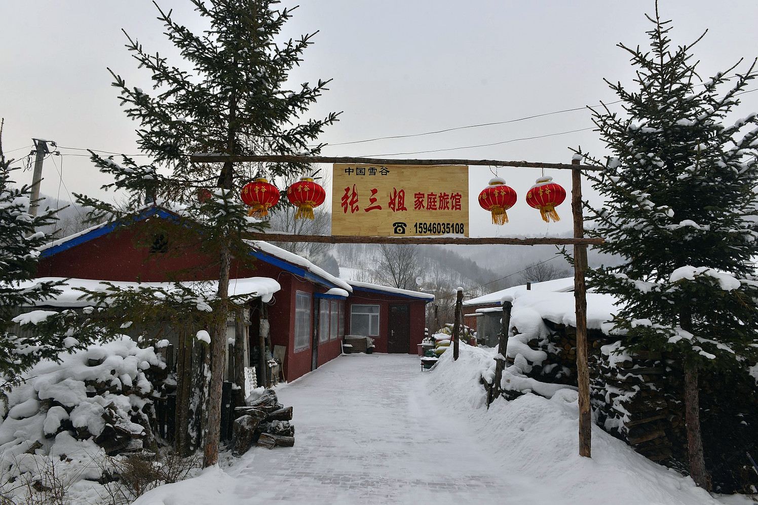 外观
