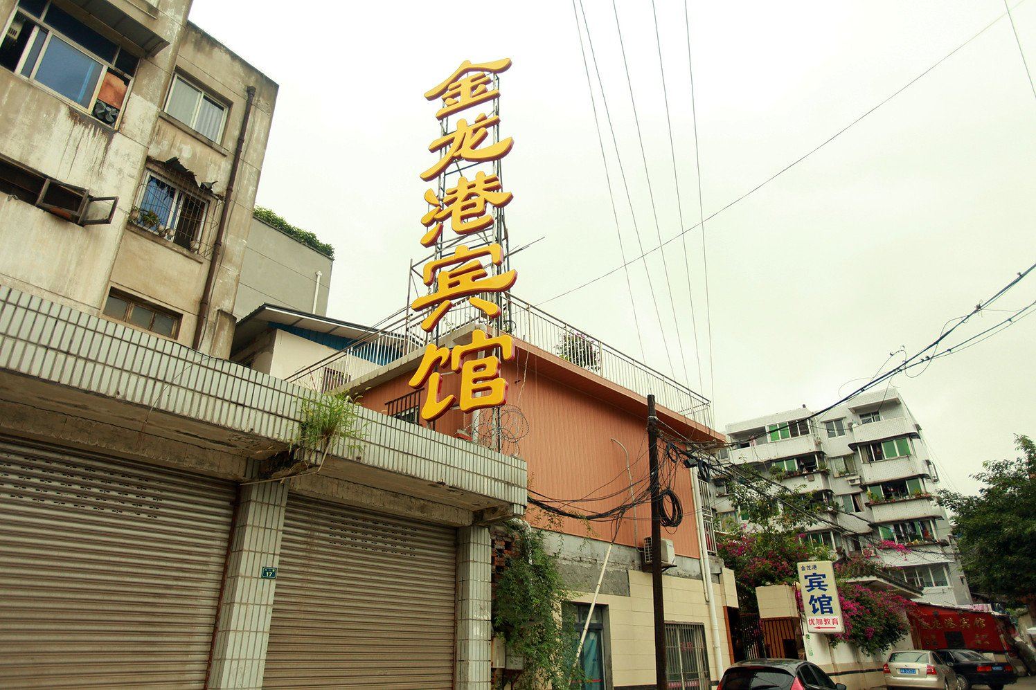 外观