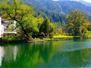 婺源廬山游花多少錢_婺源廬山游 旅行團(tuán)_婺源廬山游8月份報(bào)價(jià)