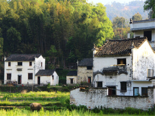 婺源廬山游花多少錢_婺源廬山游 旅行團(tuán)_婺源廬山游8月份報(bào)價(jià)