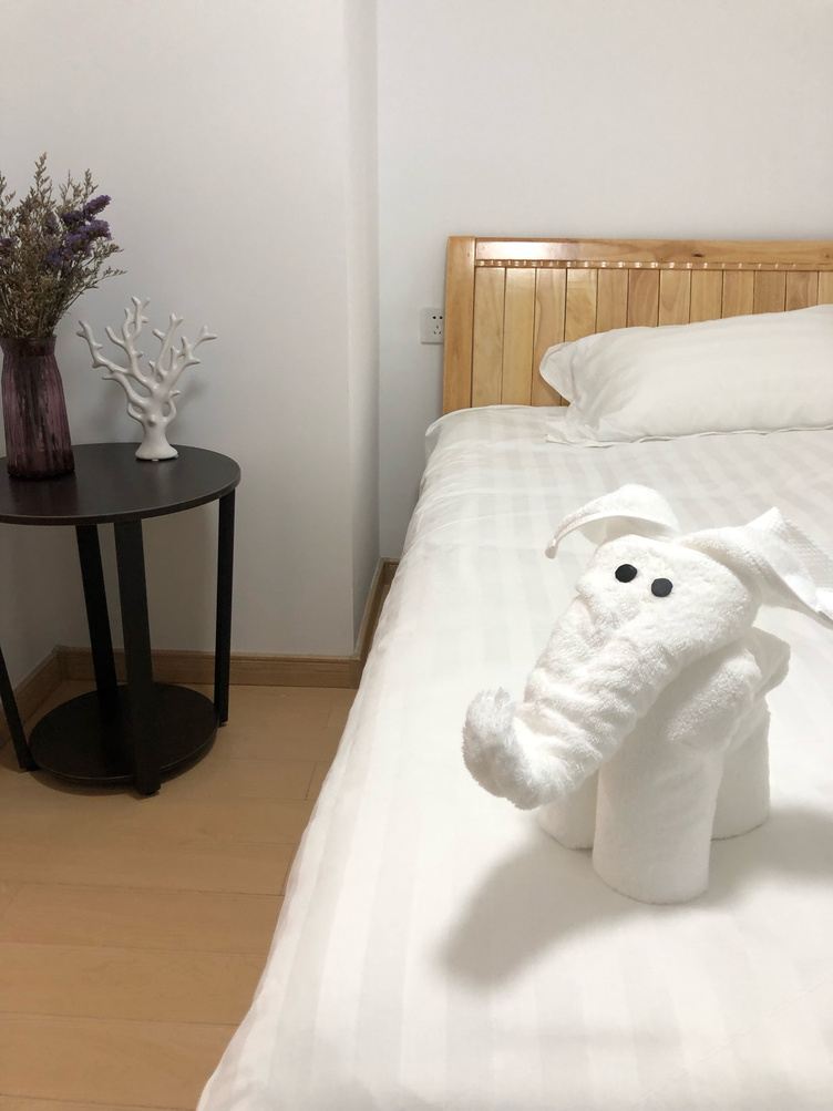 舒适二室一厅套房